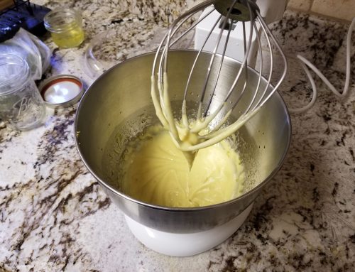 Mayonnaise and Aioles